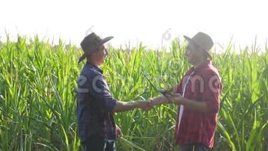 团队合作智慧<strong>农牧</strong>概念慢动作视频.. 两个男人农艺师两个农民胜利握手团队合作